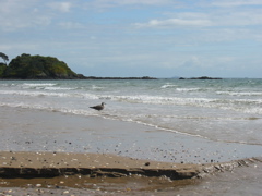 IMG_2355.JPG