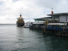 IMG_2306.JPG