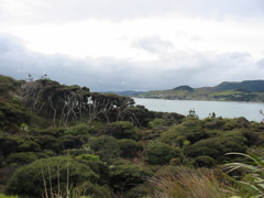 IMG_2359.JPG