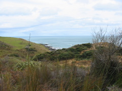 IMG_2360.JPG