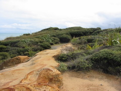 IMG_2361.JPG