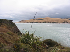 IMG_2363.JPG