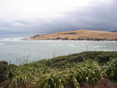 IMG_2366.JPG