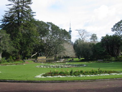 IMG_2307.JPG