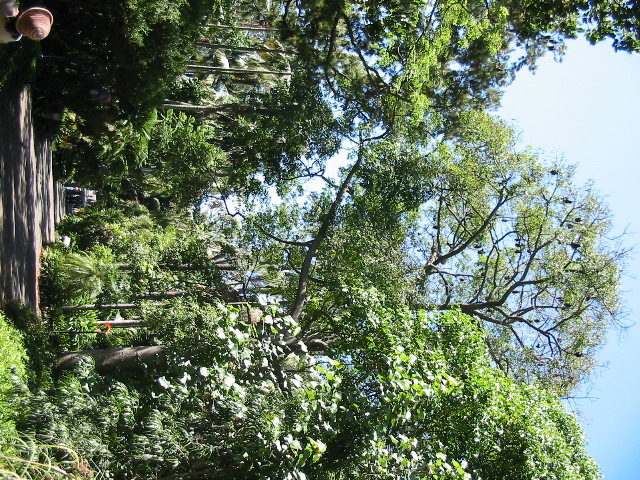 IMG_0779.JPG