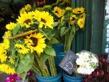 IMG_0736.JPG