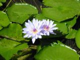 IMG_0776.JPG