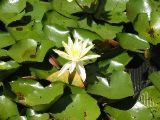 IMG_0777.JPG