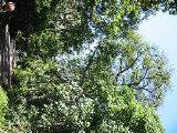 IMG_0779.JPG