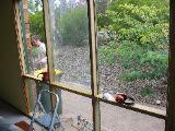 IMG_0899.JPG